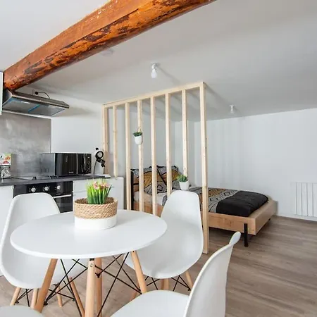 Magnifique Studio Au Coeur De Paulien *